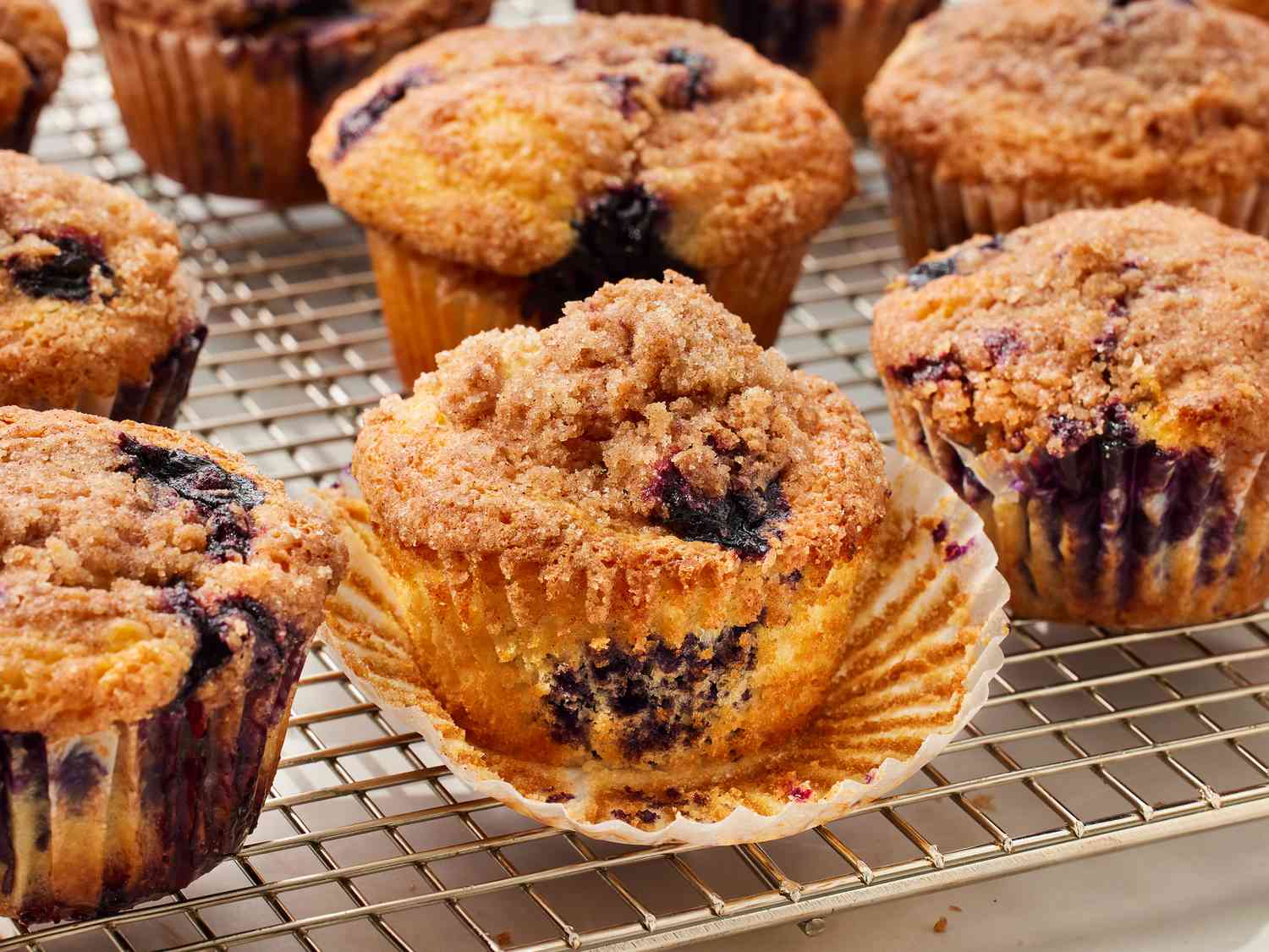 10 blueberry muffins - DR2026 - 091