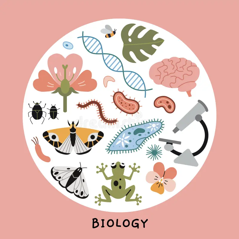 Bijles biologie - DR2026 - 075a